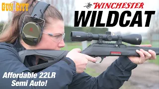 22LR Winchester Wildcat Semi Auto - Gun Review *LIVE FIRE*