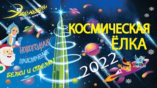 "Космическая елка. Новогодние приключения Белки и Стрелки". Школа №578.