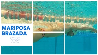 ✅ APRENDE MARIPOSA 🦋 desde 0 | La BRAZADA de MARIPOSA 🐬