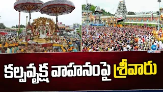 Tirumala Brahmotsavalu | Kalpavruksha Vahana Seva | కల్పవృక్ష వాహనంపై శ్రీవారు | ZEE Telugu News