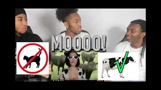 Doja Cat - "Mooo!" (Official Video) REACTION!!