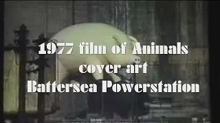 Pink Floyd 1977 film of "Animals" cover art shooting