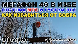 Мегафон 4G в избе, спутник МТС и густой лес, как избавиться от бобра | Владимир Цифровой | 86 серия