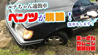 ルナちゃんが通勤車（ベンツE320）を洗車【業務日報】