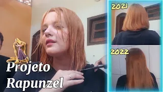 1 ANO SEM CORTAR O CABELO ( EVOLUÇÃO COM VIDEOS )