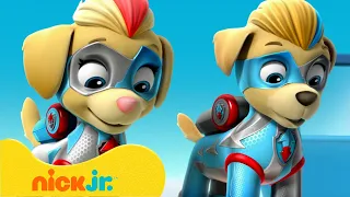 PAW Patrol | PAW Patrol Mighty Pups - Die besten Rettungsmissionen! | Nick Jr. Deutschland