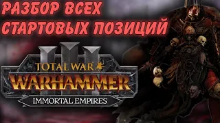 TOTAL WAR: WARHAMMER 3 - РАЗБОР ВСЕХ СТАРТОВЫХ ПОЗИЦИЙ ЛОРДОВ | анализ .