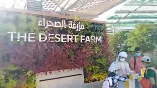 The Desert Farm expo 2022/Your ULTIMATE GUIDE TO EXPO 2020 | BEST PAVILIONS TO VISIT + TIPS