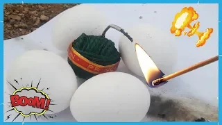 Egg VS Diwali Crackers (Crackers) Telugu Portal