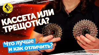 КАССЕТА или ТРЕЩОТКА? Как отличить? Что лучше?