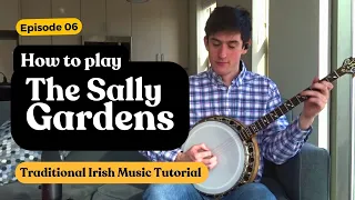 Learn The Sally Gardens - Trad Tutorial by James Finnegan