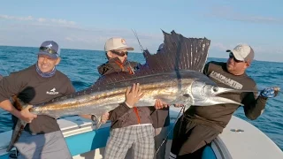 Hungry Barracudas and a Surprise Giant Sailfish - 4K