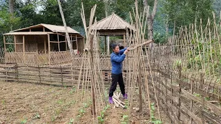 Garden care & toilet repair at the farm | Dang Thi Mui