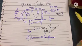 Arteries of Thoracic Wall | Anterior & Posterior Intercostal Arteries | Origin, Course & Anastomosis