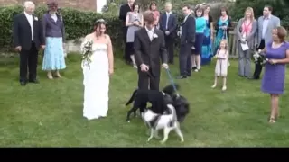 Wedding Fails Compilation 2016 Epic Wedding Fail Compilation funny Weekend