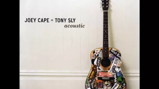 Joey Cape / Tony Sly - Violins(Acoustic)