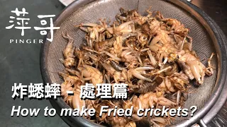 慎入! 蟋蟀處理篇 | 灌蟋蟀 | Cricket cuisine | 萍哥Pinger的一舉一動