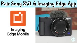 Pair Sony ZV1 & Imaging Edge App -EASY!