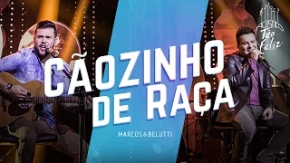 Marcos & Belutti - Cãozinho de Raça | DVD Acústico Tão Feliz