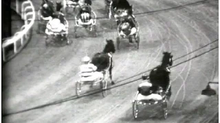 Harness Racing,Harold Park-1963 Summer Cup (Cardigan Bay-P.J.Wolfenden)