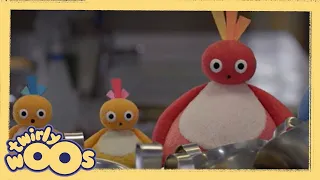 Taller and Taller | Twirlywoos | Videos for Kids