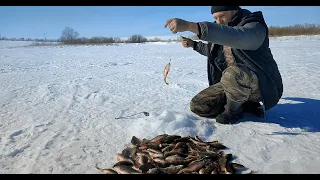 РЫБАЛКА В ФЕВРАЛЕ.ОКУНЬ СПАС ЭТОТ ДЕНЬ! Рыбалка в Актобе в мороз.