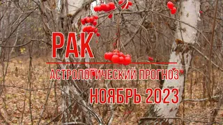 Рак астрологический прогноз на ноябрь 2023