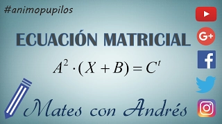 Ecuación Matricial. Despejar X. Matriz con Incógnitas 01