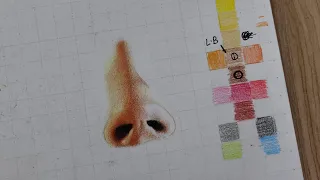 How To Shade Skin tone with Doms Colour Pencil | Doms Colour Skin Tone Tutorial | COLOUR CHART