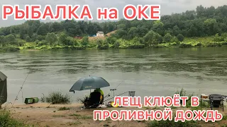 РЫБАЛКА на ОКЕ / ЛЕЩ КЛЮЁТ и ОЧЕНЬ БОЙКИЙ в ПРОЛИВНОЙ ДОЖДЬ