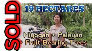 #Vlog22 | 19 HECTARES | Niyogan + Tubigan + Fruit Bearing Trees | ALONG NATIONAL ROAD | 12.5 Million