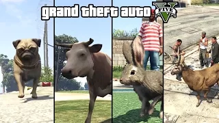 GTA 5 - Play as an Animal (Dog, Cat, Cow, Boar, Rabbit, Deer & more) [PS4 & Xbox One]