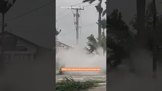 Fallen Power Line Sparked Fire as Hurricane Ian Neared Naples, FL