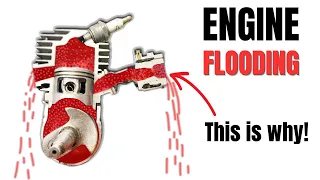 CHAINSAW CARBURETOR LEAKING GAS/FLOODING: Why Carburetor Overflow?