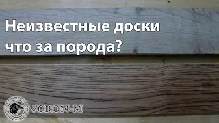 Твёрдые породы древесины - первый опыт | Тайна до сих пор не раскрыта!