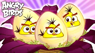 Angry Birds | Every Egg Ever