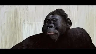 Koolakamba: African Mystery Ape