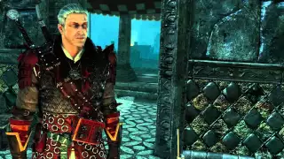 The Witcher 2 иди работай!