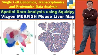 Spatial Data Analysis using Squidpy: Vizgen MERFISH Mouse Liver Map