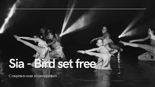 Sia - Bird set free | kids dance