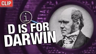 QI | Darwin Ate All The Animals