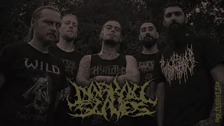 Darkall Slaves - "Cacophrenic Apperception" (Promo 2019 | New Standard Elite)