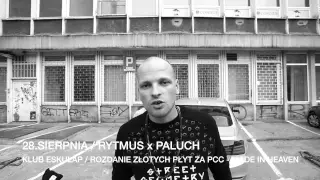 Zapowiedź koncertu PALUCH x RYTMUS w klubie ESKULAP 28.08.2015