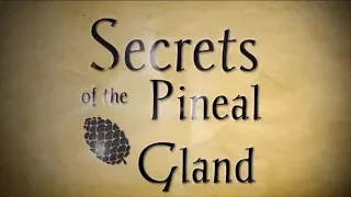 The secrets of the pineal gland