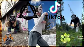 Therian and Quadrobics TikToks || Compilation 🐾⭐️🌿|| Alterhumans of TikTok #85