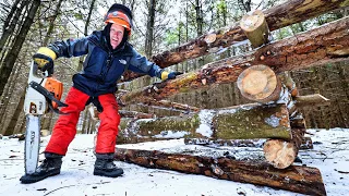 Building a Log Cabin from Logs in My Forest!