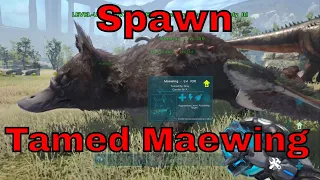 ark : How To Spawn In A Tamed Maewing in ark