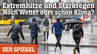 Extremhitze und Starkregen: War das noch Wetter oder ist das schon Klima? | DER SPIEGEL