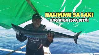 TATLONG MALALAKING TANIGUE ANG NAHULI | HALOS DI MABATAK SA SOBRANG BIGAT