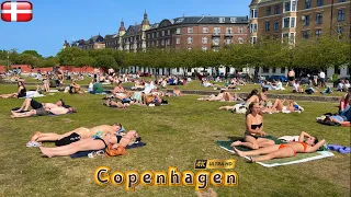 4k Islands Brygge Harbour Bath Beach | Copenhagen Denmark | Walking Tour #Sunbath